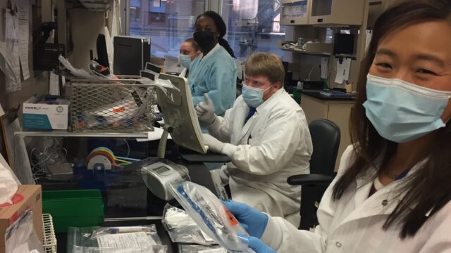 technicians in a public health lab