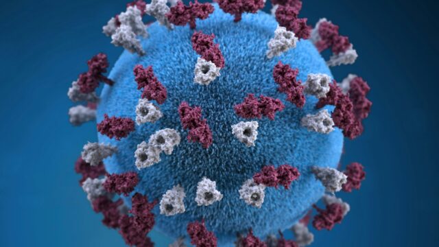 3D graphic image of a measles virus particle