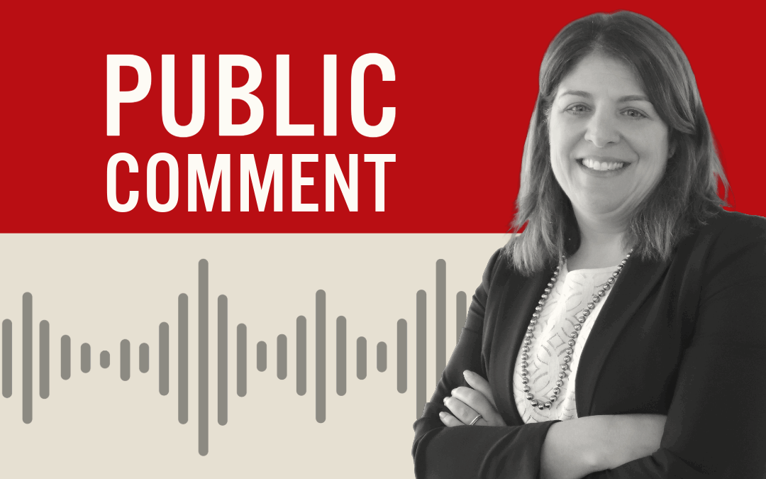 Promo graphic showing Chrissie Juliano and "Public Comment"