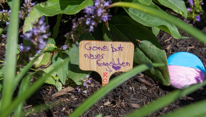 Closeup of a garden bed with a small wooden sign reading "gone but not forgotten."