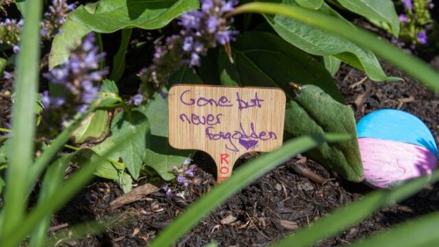 Closeup of a garden bed with a small wooden sign reading "gone but not forgotten."